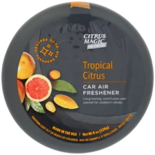 Citrus Magic Holiday Odor Absorbing Solid Air Freshener - Holly
