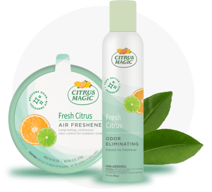 Citrus Magic Holiday Odor Absorbing Solid Air Freshener, Winter